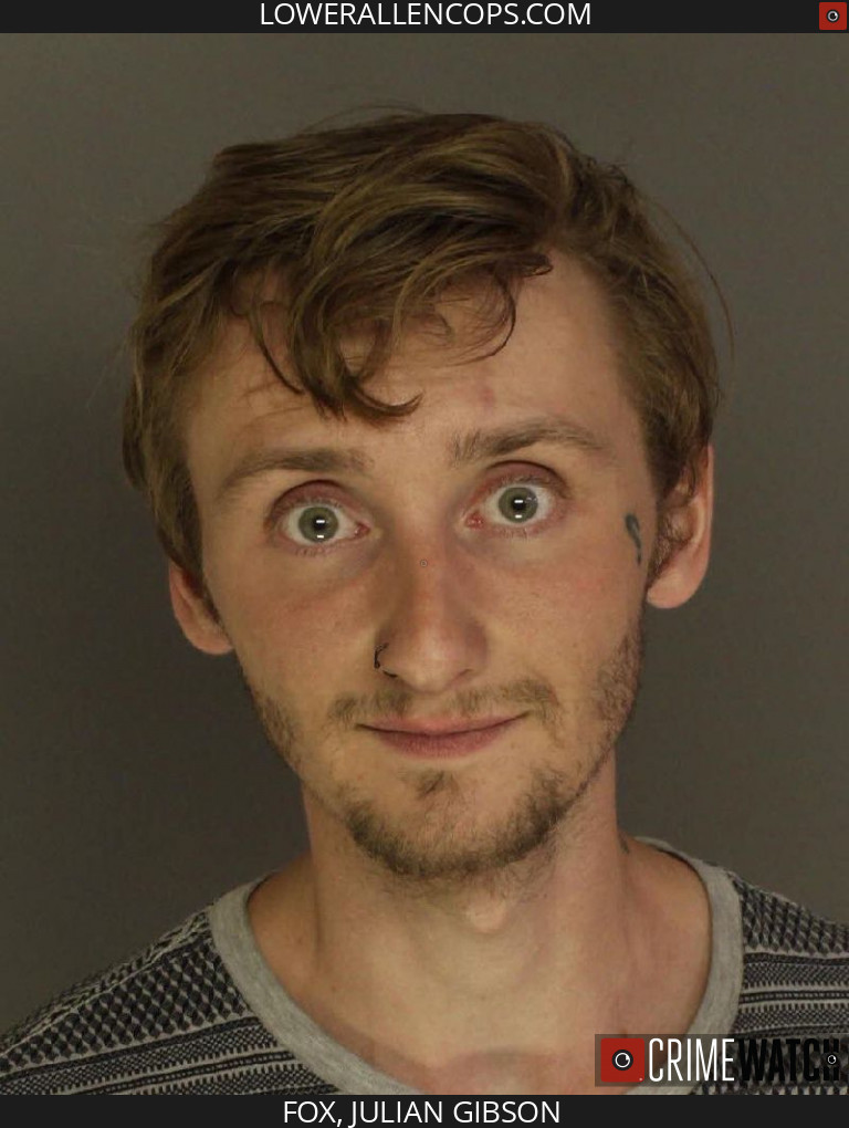Julian Gibson Fox