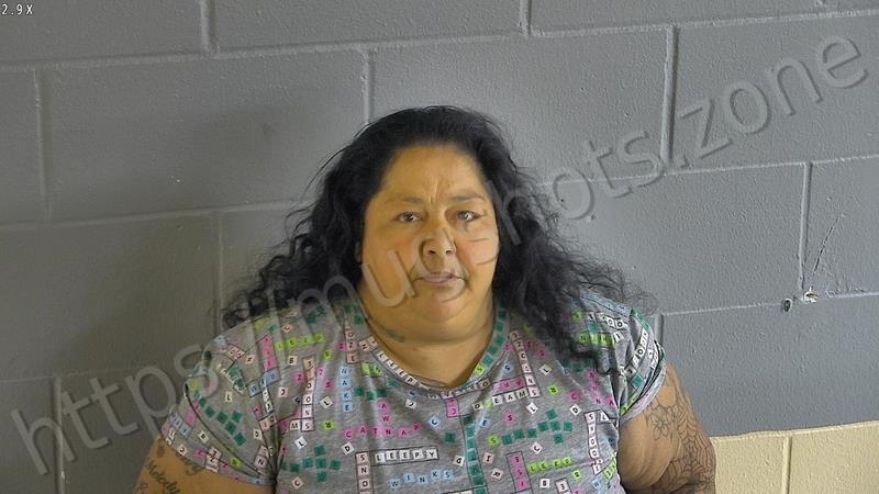 Mercedes Irene Fernandez