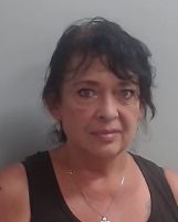 Shelley Diane Hawkins
