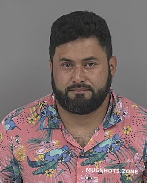 Nelson Sanchez-guzman