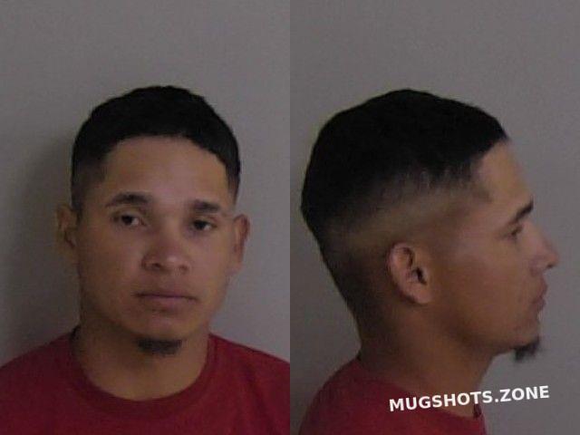 Zelaya Flores Kristian Joel