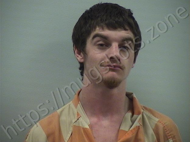 Alexander M Pitt
