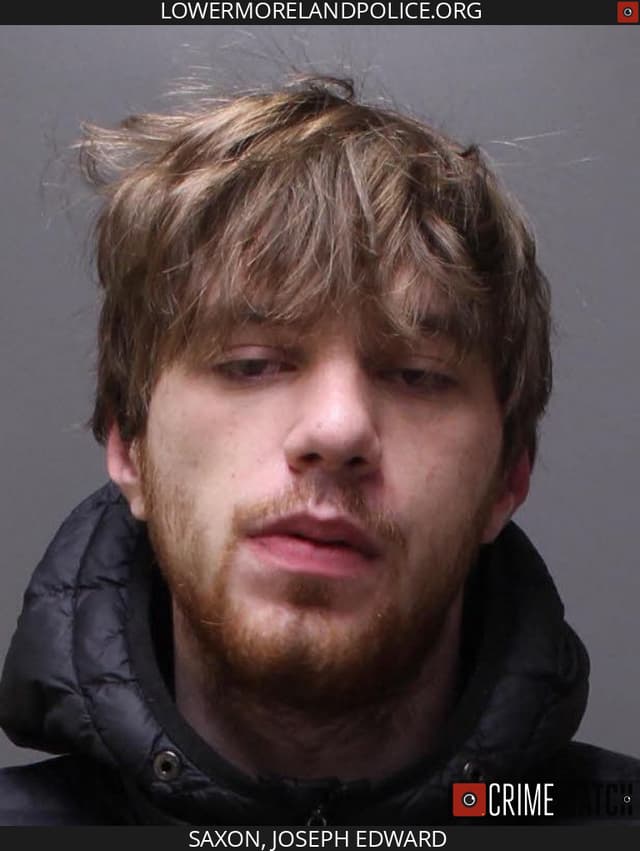 Gavin Lewis Saxon