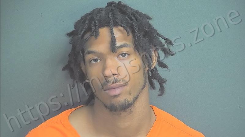 Wesley J Williams
