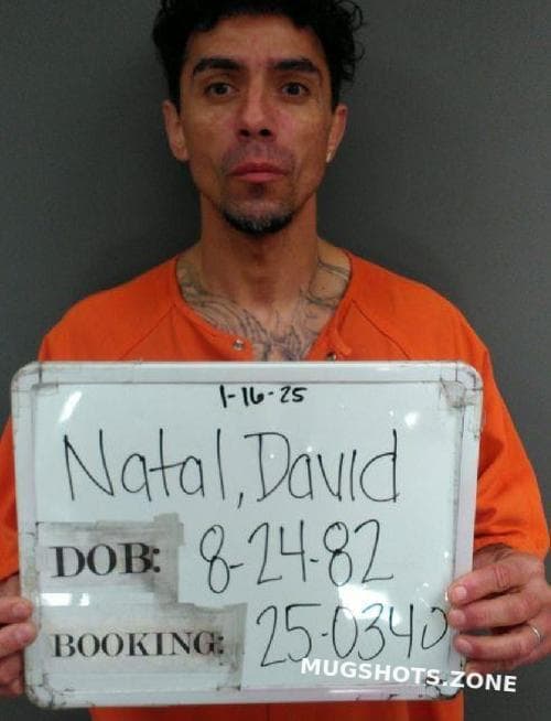 David Natal