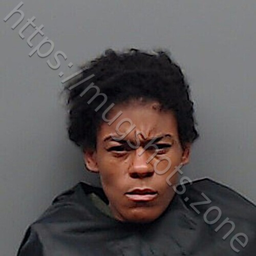 Jameka Ann Johnson