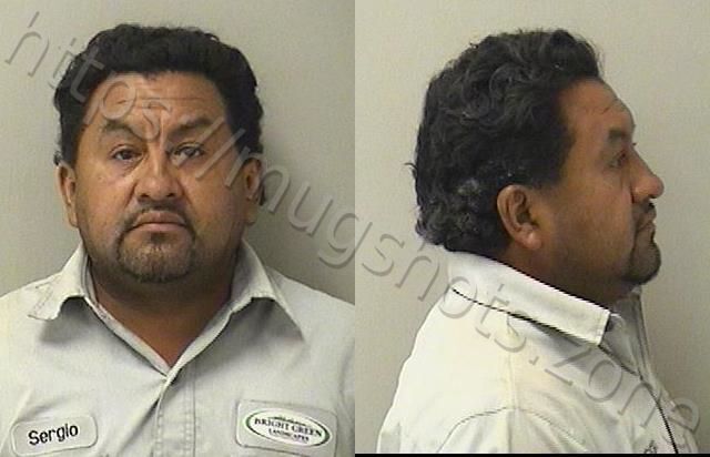 Sergio Gabriel De Jesus